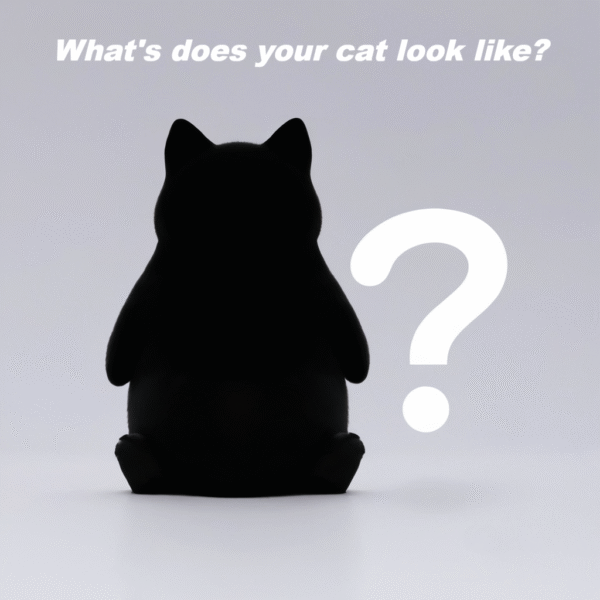 A01 Custom Kitty  (Contact us to commence)